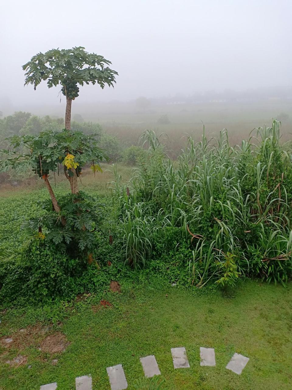 Greenfield Residence Prachinburi Exteriör bild